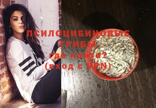 спиды Алексеевка