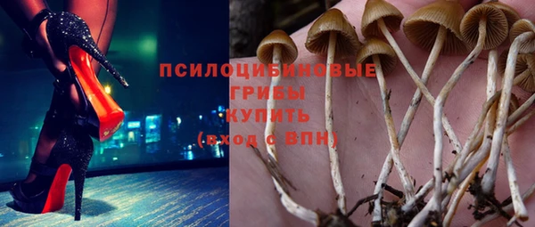 2c-b Абинск