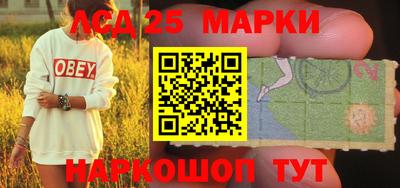 амф Бийск