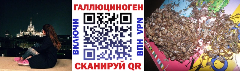 Галлюциногенные грибы ЛСД  как найти наркотики  Заводоуковск 