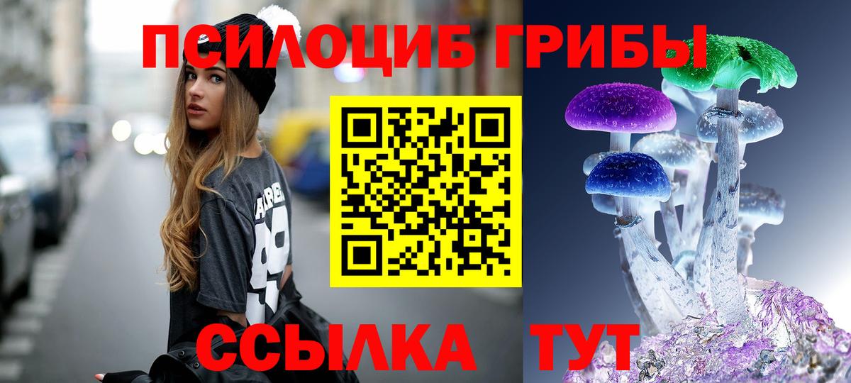 Псилоцибиновые грибы мухоморы  Псилоцибиновые грибы Psilocybe  Вход с VPN  закладка  Заводоуковск 